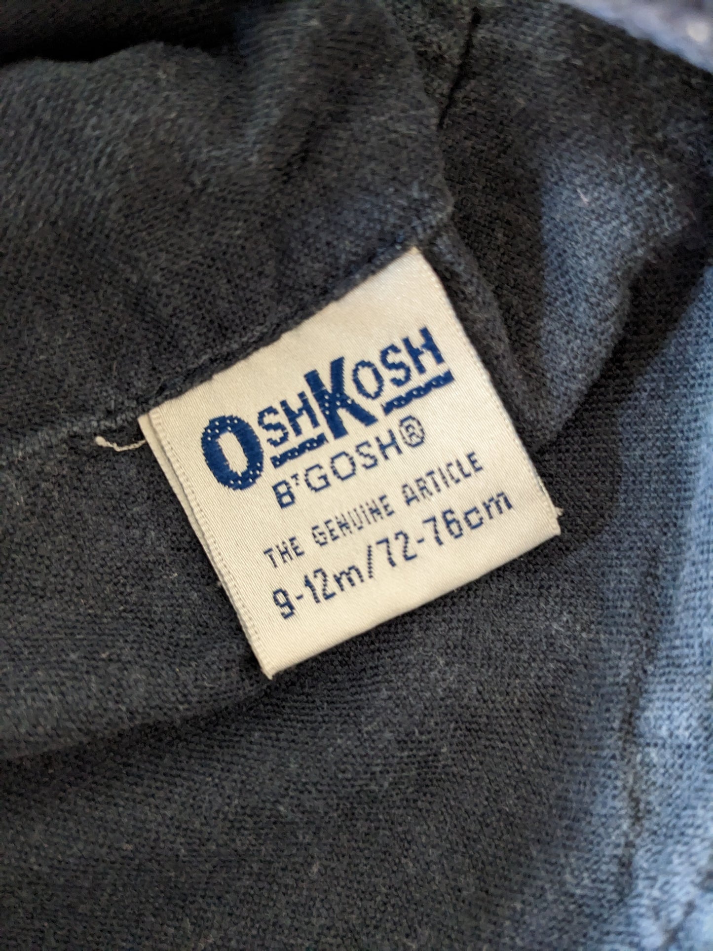 Oshkosh b'Gosh Blue Velvet Flower Vintage Overall 9/12